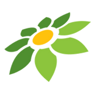 DOODSTREAM TWITTER